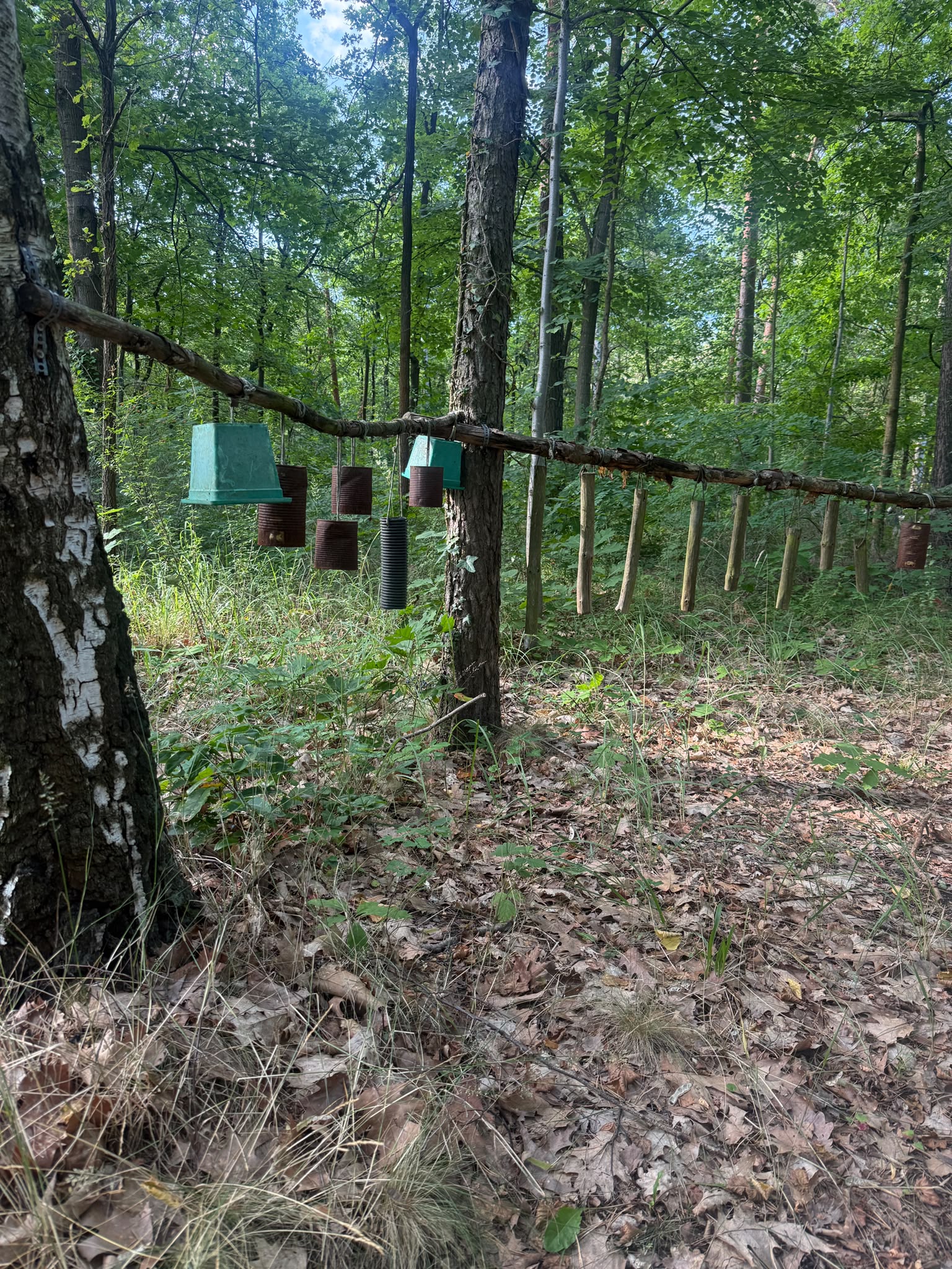 Naturpfad im Wald mit Sinnesstationen